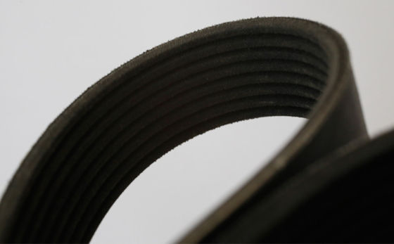 Doosan P222LE Egnine Parts Engine V Belt 65.96801-0061 Genuine Qaulity